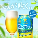 『一番うまい発泡酒ってどれだよ』の画像