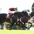 【東スポ杯2歳S】3番人気パントルナイーフがアタマ差制しV！重賞初勝利