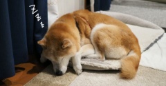 え、そこ？