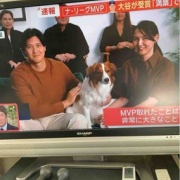 ëʿɼǡMVPäˡͤΤǤ