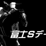 『富士Ｓ(G2)データ解析』の画像