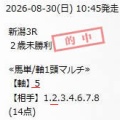 競馬予想無料公開サイト~8/29・8/30(2026)検証