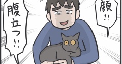 毎日夫に猫に懐かれている自慢される