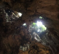 五行山　フィエンコ洞窟の天井を見る（5日目）