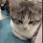 らばQ