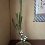 僧侶でアナウンサー川村妙慶の日替わり法話