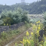 美・食・音～diary～