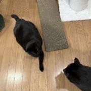 まだまだ若々しいスミちゃん