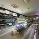 『【熱帯魚通販注意事項について】』の画像