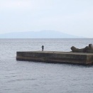 今日の白田堤防