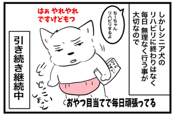 ちーちゃんっ🐾 - ちーちゃんですけどもっ