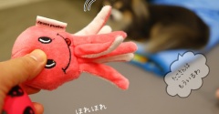 まりちゃんの土産