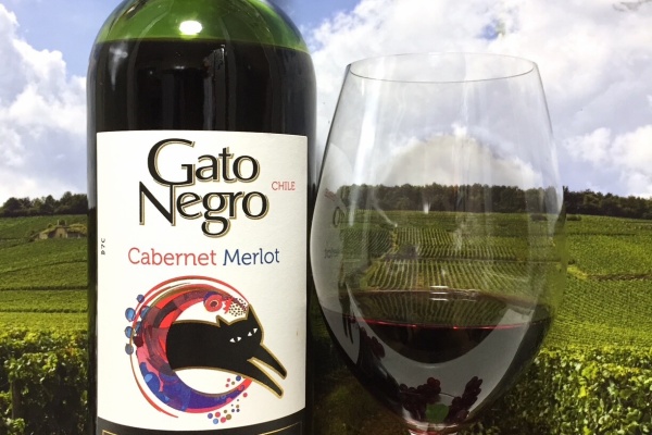 Red Red Wine：「偉いワイン」探しの備忘録（ワインブログ） - GatoNegro