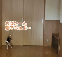 それは突然に気づいた