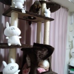 ﾈｺﾁｬﾝのﾆﾝｹﾞﾝ育成日記