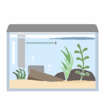 めだか屋愛徳 あいなる アクアリウム情報 アンテナサイト