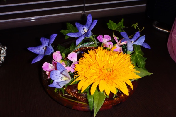 花語らず キキョウ