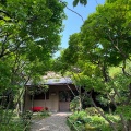 7月9日のお稽古ーお茶会の稽古