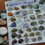 ターシャの布しごと＆花だより