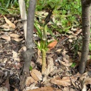 2026.3.26 戸田川緑地