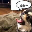 カメラ目線(*´ω｀)