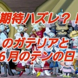 『【期待ハズレ？！】のガテリアと６月のテンの日』の画像