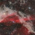 LBN437 The Gecko Nebula