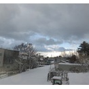 いよいよ根雪かな