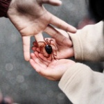 命の価値ってなんやろか？