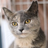 『 本日、12/12(日)オープンしています』の画像