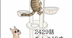 あんこ＆麦2501 あんこ12才