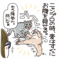強いんだか、弱いんだか