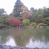 『'2008紅葉狩り🍁京都御所~鞍馬寺』の画像