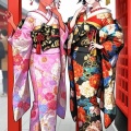 📊 Incall Escort Kyoto Service Shop near you