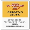 今年の運はここでも使う!?【マクドナルド】サマーチャンスバッグ当選