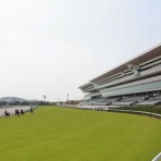 ☆うまなみ・競馬にゅーす速報