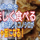 θ桪ˤäƤε٤β