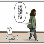 え、オマエいたの？なら遊んで