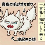 セニョリータかめのバルセロナ生活