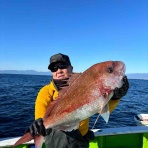 福栄丸釣果速報