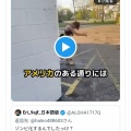 フェンタニルってなんだろ〜