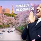 外国人「桜の季節は夢の時間」Japan by Foodが東京の桜スポットを紹介してる