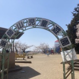 『栗原市築館の薬師公園でお花見をどうぞ🌸』の画像