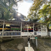 姉と一緒に三島1泊旅行④あぁ 思い出の楽寿園