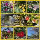 長生きは楽しみが多い