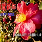 龍人の独り言