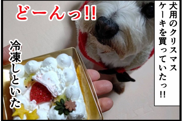 1990年のウエスティランド 旅行日記 本物 1990年のウエスティランド 旅行日記 ウェスティ・ドッグ・ノート