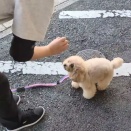 お勉強の時間【青色の教室】🔵