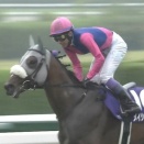 【競馬】メイショウタバルが凱旋門賞で通用する可能性って結構高くない？