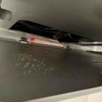 日常にこんにちは。